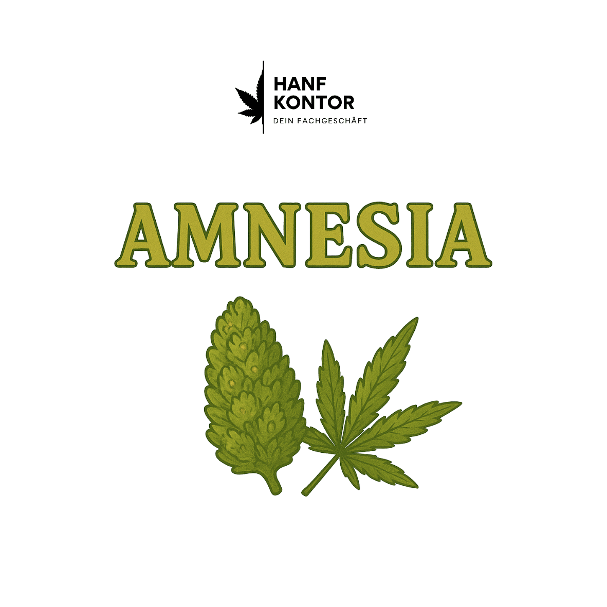 Cannabis leaf and bud with 'AMNESIA' text and Hanf Kontor logo on a white background
