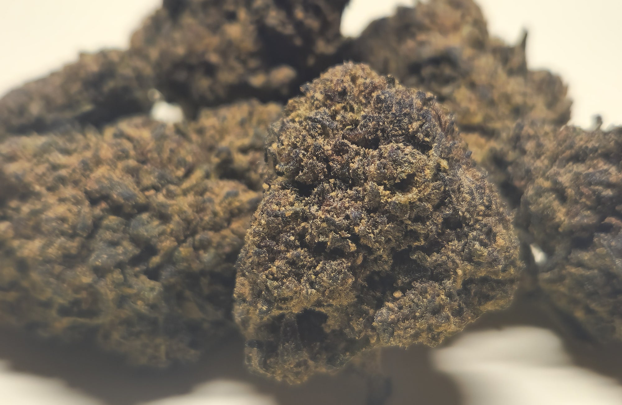 A close-up image of a flower, showing a dense, brownish material with visible trichomes.