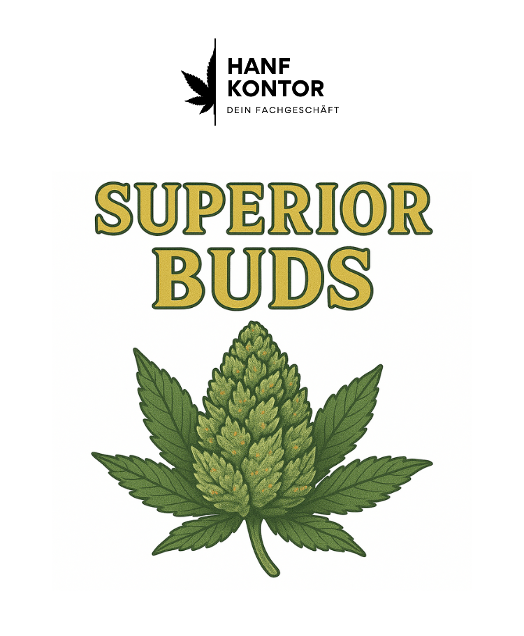 Advertisement for Hanf Kontor with a cannabis leaf and text about superior buds, H2 content.