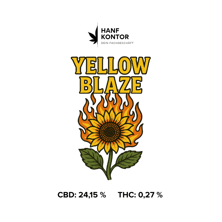 Sunflower with flames and 'Yellow Blaze' text on a white background, featuring the brand 'Hanf Kontor'.