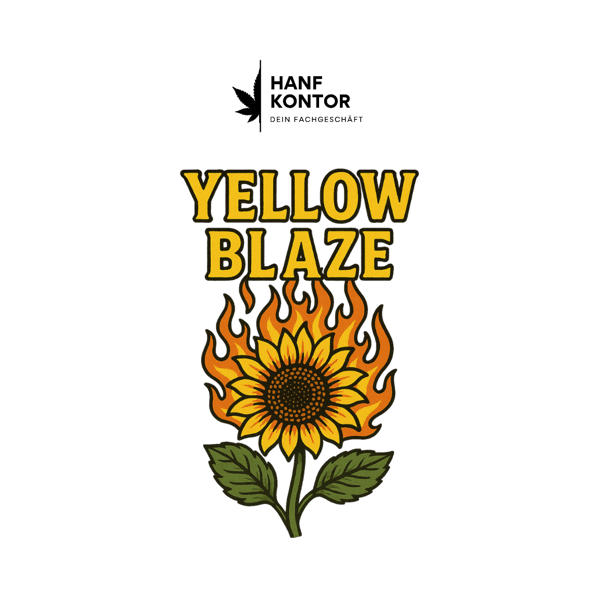 Sunflower with flames and 'Yellow Blaze' text on a white background, featuring the brand 'Hanf Kontor'.